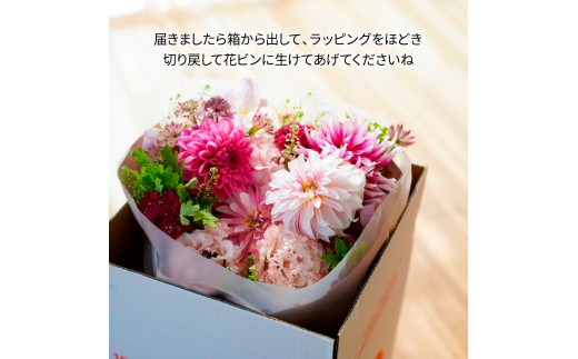 t155tmf　《6ヵ月定期便》生花花束 ブーケ 初回花瓶付M 定期便 定期コース 全6回 初回花瓶付き 延命剤付き 花びん 生花 花束 ブーケ 花 お花 おすすめ 可愛い キレイ おしゃれ 季節のお花 供花 お供え
