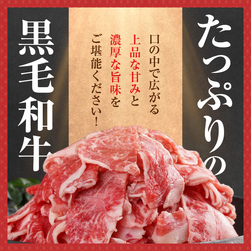 宮崎県都城市のふるさと納税 【黒毛和牛】切り落とし1.5kg(250g×6パック)≪みやこんじょ特急便≫_18-I901-Q
