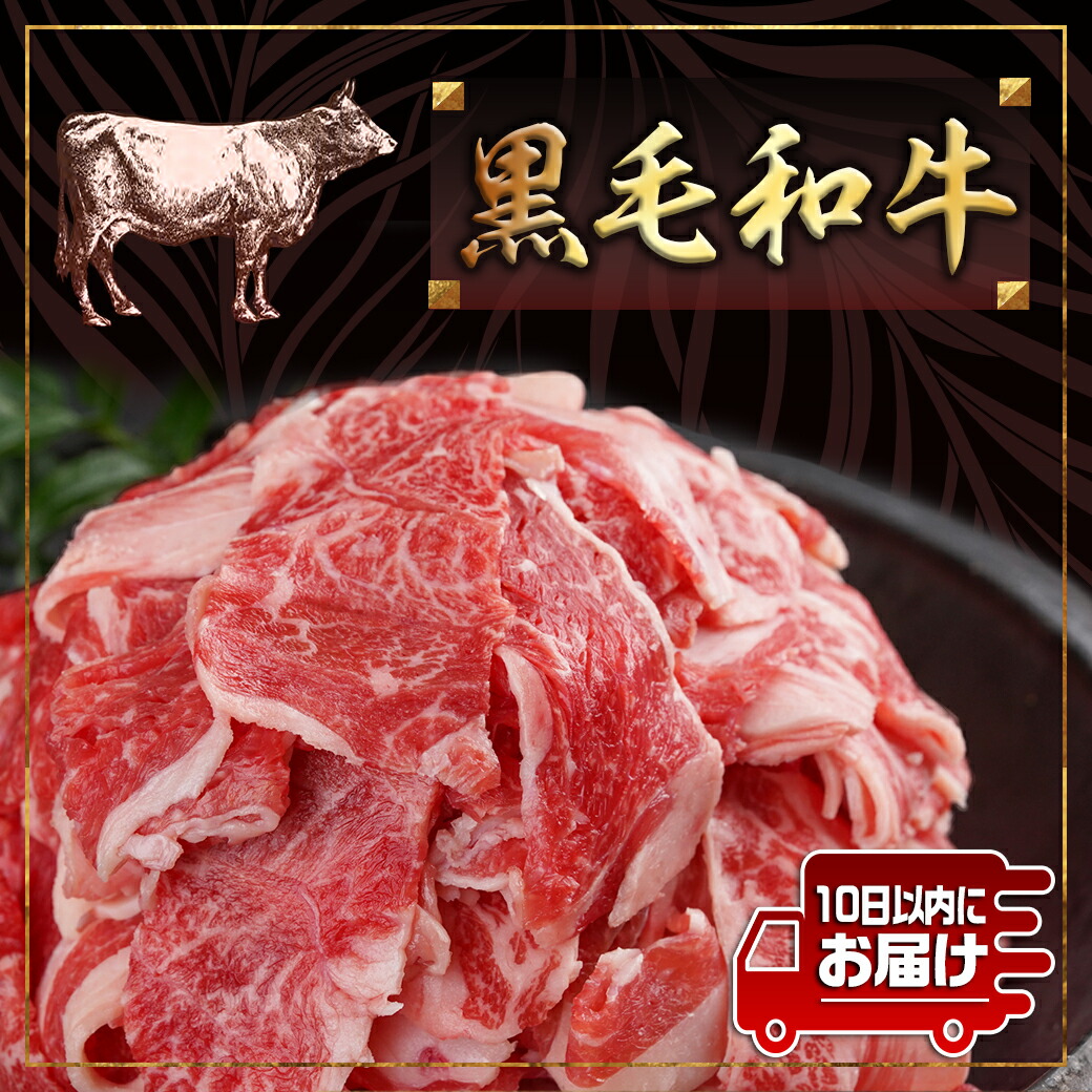 宮崎県都城市のふるさと納税 【黒毛和牛】切り落とし1.5kg(250g×6パック)≪みやこんじょ特急便≫_MJ-I903-Q