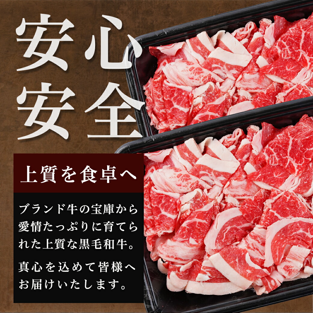 宮崎県都城市のふるさと納税 【黒毛和牛】切り落とし1.5kg(250g×6パック)≪みやこんじょ特急便≫_MJ-I903-Q