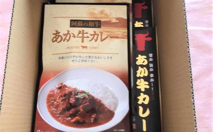 レトルト カレー セット 2種 詰め合わせ 熊本 あか牛 カレー 180g×2 あか牛100％ 挽肉カレー 220g×2 温めるだけ 簡単調理 ランチ 昼ごはん 夕飯 晩御飯 夜食 洋食 
