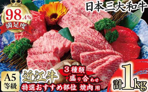 A5等級 未経産雌 特選近江牛おすすめ部位 焼肉3種盛り合わせ 合計1kg【FO04W】