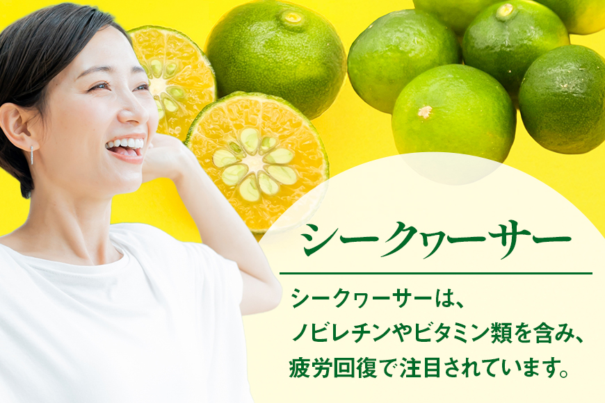 琉球ビバレッジ　 さんぴん茶をベースにした琉球レモンティー