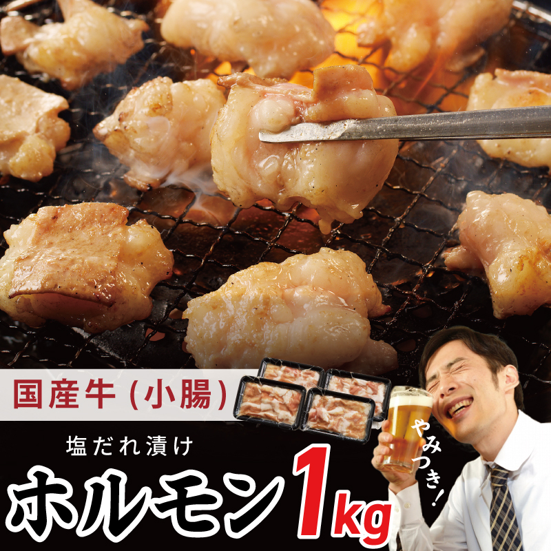 国産 牛肉 ホルモン 1kg 塩だれ漬け 焼肉用 小分け 250g×4P[牛肉 焼肉用 焼くだけ 小分け BBQ やきにく 数量限定] 099H3869