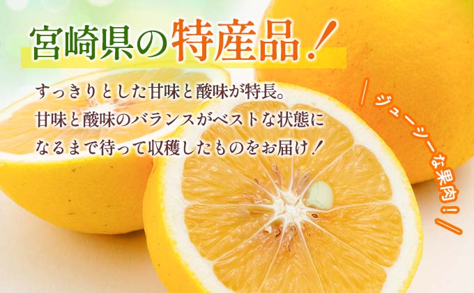 宮崎県日南市のふるさと納税 先行予約 酸味と甘味は恋の味 恋する 日向夏 計3kg以上 令和8年発送 期間限定 数量限定 果物 くだもの フルーツ 国産 食品 柑橘 みかん 蜜柑 オリジナル ブランド デザート おやつ ひゅうがなつ おすすめ おすそ分け 手土産 ギフト 宮崎県 日南市 送料無料_AV1-25