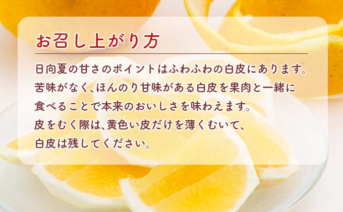 宮崎県日南市のふるさと納税 先行予約 酸味と甘味は恋の味 恋する 日向夏 計3kg以上 令和8年発送 期間限定 数量限定 果物 くだもの フルーツ 国産 食品 柑橘 みかん 蜜柑 オリジナル ブランド デザート おやつ ひゅうがなつ おすすめ おすそ分け 手土産 ギフト 宮崎県 日南市 送料無料_AV1-25