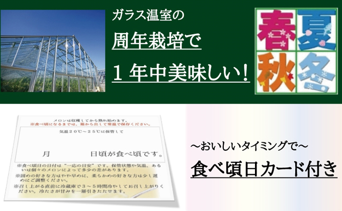 静岡県袋井市のふるさと納税 クラウンメロン（白上級）１玉入
