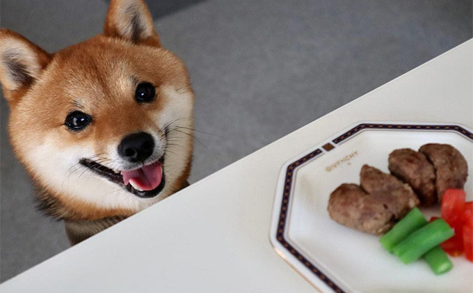 鹿肉ドッグフード　鹿肉ミートボール（犬用）　10パック（約60g×10） 加工食品 お肉 家族 健康 食事 大切 ペット 自然 新鮮 動物 高品質 安心 安全 国産 子犬 老犬 栄養 小分け 