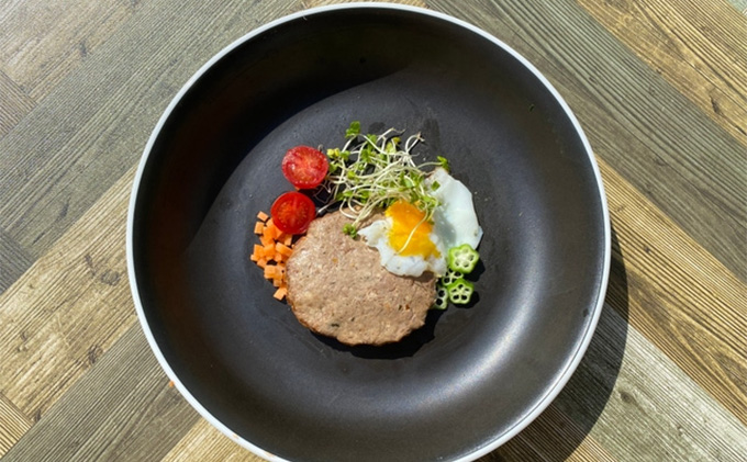 鹿肉ドッグフード　鹿肉ハンバーグ（犬用）　10個（約50g×10個） 加工食品 お肉 家族 健康 食事 大切 ペット 自然 新鮮 動物 高品質 安心 安全 国産 子犬 老犬 栄養 小分け 