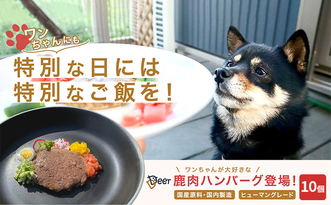 【福井県若狭町】鹿肉ドッグフード 鹿肉ハンバーグ(犬用) 10個(約50g×10個) 加工食品 お肉 家族 健康 食事 大切 ペット 自然 新鮮 動物 高品質 安心 安全 国産 子犬 老犬 栄養 小分け