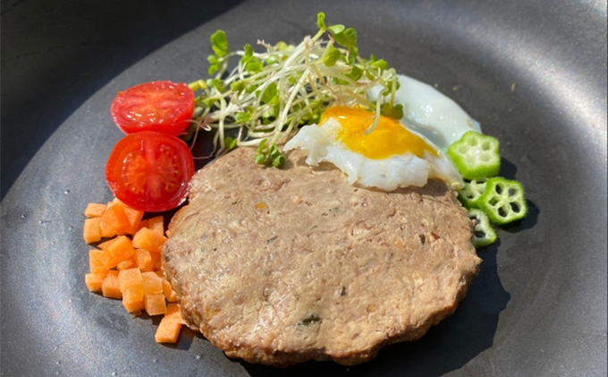 鹿肉ドッグフード　鹿肉ハンバーグ（犬用）　10個（約50g×10個） 加工食品 お肉 家族 健康 食事 大切 ペット 自然 新鮮 動物 高品質 安心 安全 国産 子犬 老犬 栄養 小分け 