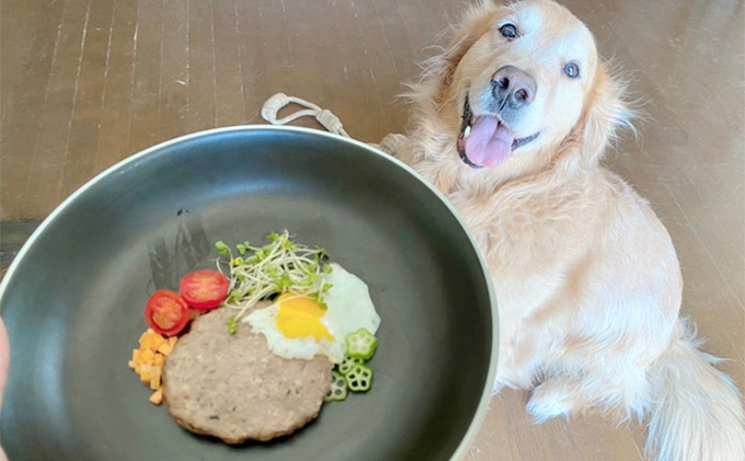 鹿肉ドッグフード　鹿肉ハンバーグ（犬用）　10個（約50g×10個） 加工食品 お肉 家族 健康 食事 大切 ペット 自然 新鮮 動物 高品質 安心 安全 国産 子犬 老犬 栄養 小分け 