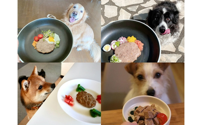 鹿肉ドッグフード　鹿肉ハンバーグ（犬用）　10個（約50g×10個） 加工食品 お肉 家族 健康 食事 大切 ペット 自然 新鮮 動物 高品質 安心 安全 国産 子犬 老犬 栄養 小分け 