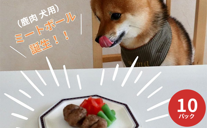 鹿肉ドッグフード　鹿肉ミートボール（犬用）　10パック（約60g×10） 加工食品 お肉 家族 健康 食事 大切 ペット 自然 新鮮 動物 高品質 安心 安全 国産 子犬 老犬 栄養 小分け 