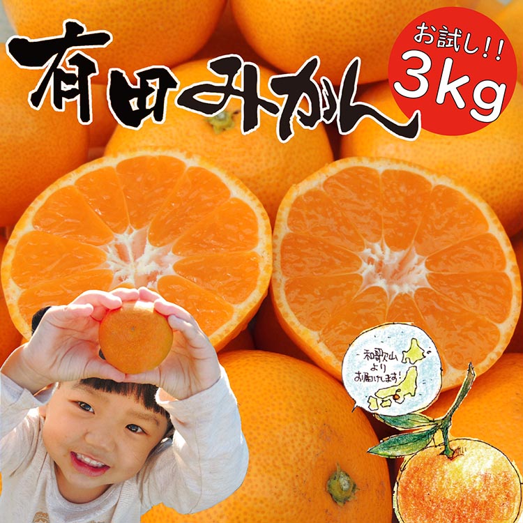 はじめまして 有田みかん（和歌山県産） お試し3kg【数量限定】/ORYY推奨 ※2025年11月上旬～12月下旬頃に順次発送予定