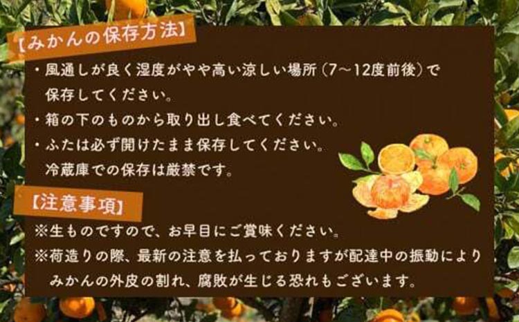 和歌山県美浜町のふるさと納税 はじめまして 有田みかん（和歌山県産）お試し5kg【数量限定】/ORYY推奨 ※2025年11月上旬～12月下旬頃に順次発送予定