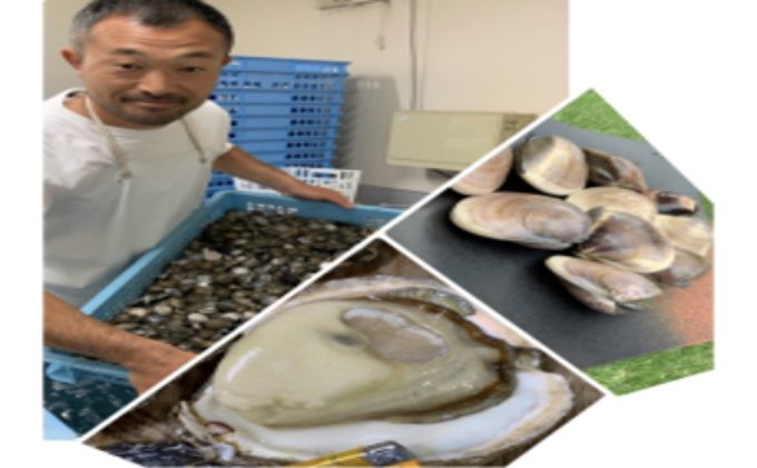 うま味が濃い純白出汁の天然”ゼンナ”冷凍（蛤小）5kg入り 魚貝類 旨み 濃厚な出汁 天然はまぐり 身が厚い 甘み 貝 海の幸 海鮮 国産 九十九里浜産 