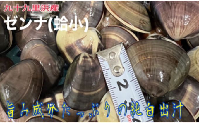 yt\㗢z務肪ܖZo`̓VRh[ihⓀij10kg L | Zȏo` VR͂܂ g Â L C̍K CN Y \㗢lY