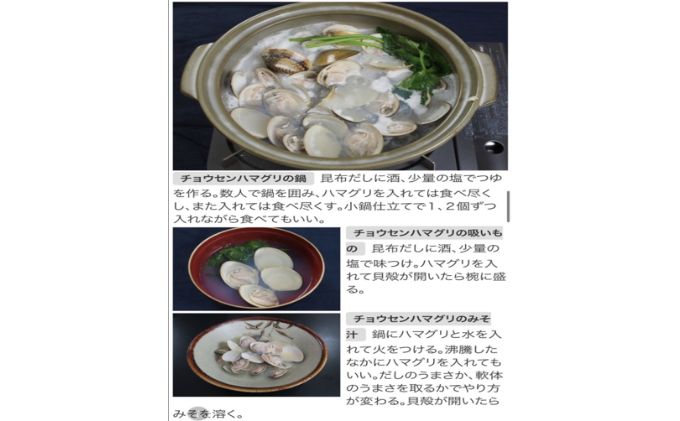 大漁盛りがお得うま味が濃い純白出汁の天然”ゼンナ”冷凍（蛤小）10kg入り 魚貝類 旨み 濃厚な出汁 天然はまぐり 身が厚い 甘み 貝 海の幸 海鮮 国産 九十九里浜産 