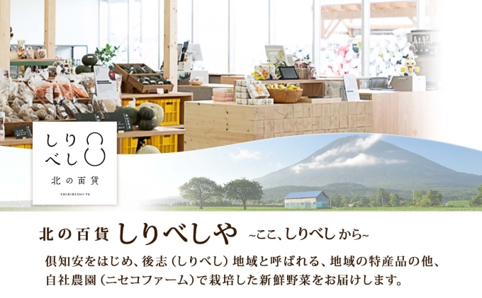 北海道倶知安町のふるさと納税 北海道産 雪の下育ちのくっちゃんポテトスープ 180g×8個 小分け 個包装 レトルト スープ ポタージュ じゃがいも 馬鈴薯 ポテト 野菜 朝食 夜食 常備食 送料無料 北の百貨 しりべしや ニセコ 北海道 倶知安町 加工食品 惣菜