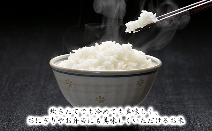 北海道滝川産 清米（ななつぼし）5kg｜北海道 滝川市 お米 米 白米 ご飯 ななつぼし ナナツボシ