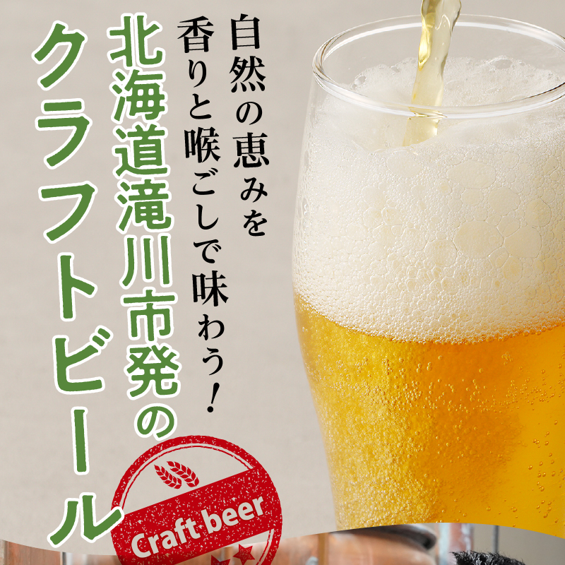 滝川クラフトビール工房 りんご＆ドライ 6本セット｜北海道 滝川市 クラフトビール ビール 酒 お酒 りんご  リンゴ ドライ セット