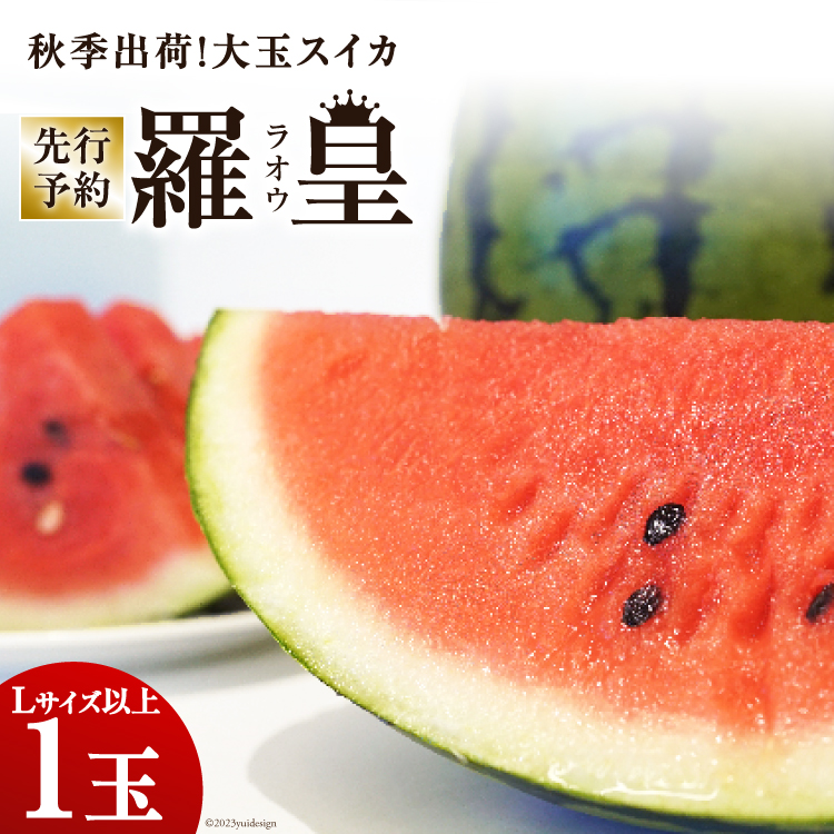 長崎県島原市のふるさと納税 BH053【令和7年度出荷分】秋季出荷！大玉スイカ～羅皇（ラオウ）～（Lサイズ6kg以上×1玉入）[先行予約 数量限定 すいか スイカ 西瓜 フルーツ 果物 長崎 長崎県 島原市]