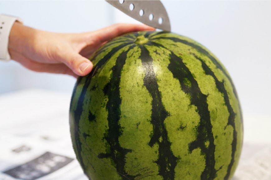 長崎県島原市のふるさと納税 BH053【令和7年度出荷分】秋季出荷！大玉スイカ～羅皇（ラオウ）～（Lサイズ6kg以上×1玉入）[先行予約 数量限定 すいか スイカ 西瓜 フルーツ 果物 長崎 長崎県 島原市]