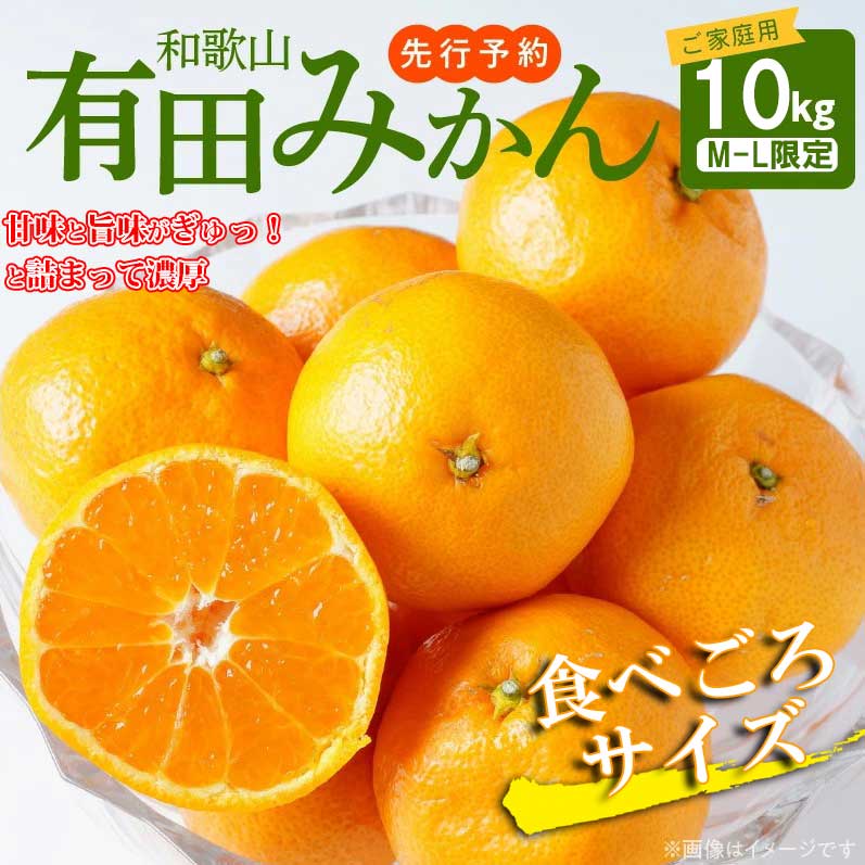 AT6310_【2025年先行予約】ご家庭用　有田みかん 約10kg (M、Lサイズ)【湯浅町】