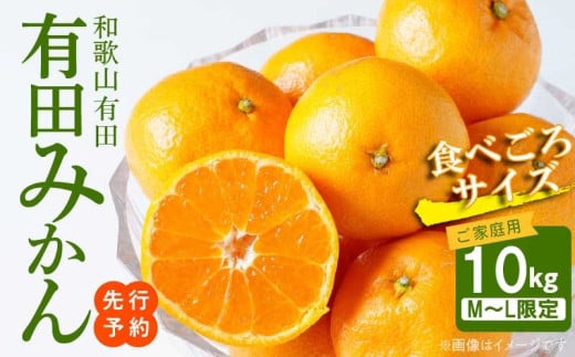 ya̎RLcS󒬁zAT6310_ƒp@Lc݂ 10kg (MALTCY)y󒬁z