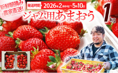 福岡県大木町のふるさと納税 ジャム用あまおう1kg ※2026年2月中旬～5月10日頃にかけて順次出荷予定 BD08