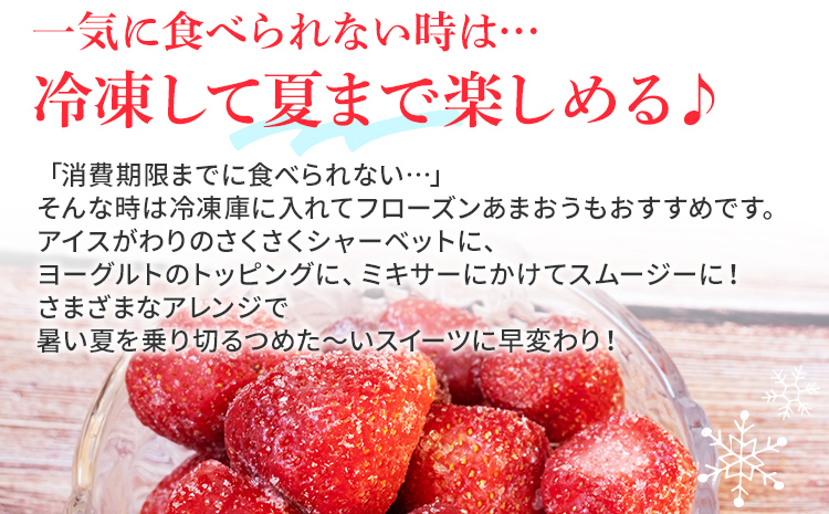 福岡県大木町のふるさと納税 ジャム用あまおう1kg ※2026年2月中旬～5月10日頃にかけて順次出荷予定 BD08