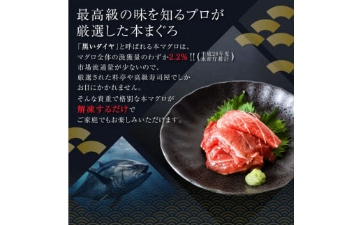 訳あり 本鮪端材切り落とし・ネギトロセット 本鮪切落し100g×3