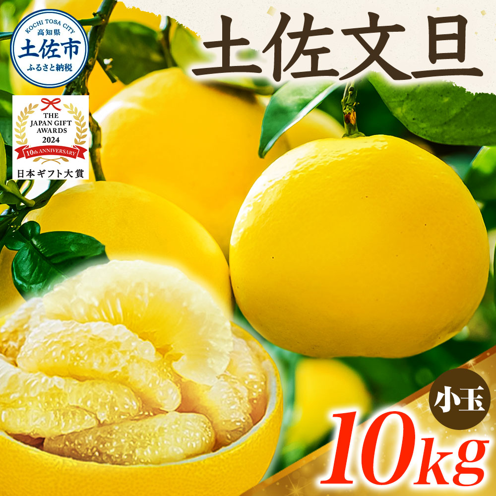 【日本ギフト大賞2024受賞】【先行予約】文旦 小玉 10kg（L～M）2026年1月下旬より順次発送 土佐文旦 みかん 柑橘 ぶんたん ブンタン 果物 フルーツ お取り寄せ おいしい 家庭用 贈答用 土佐市 高知 ふるさと納税 春 旬 返礼品 高知県 高知 18000円