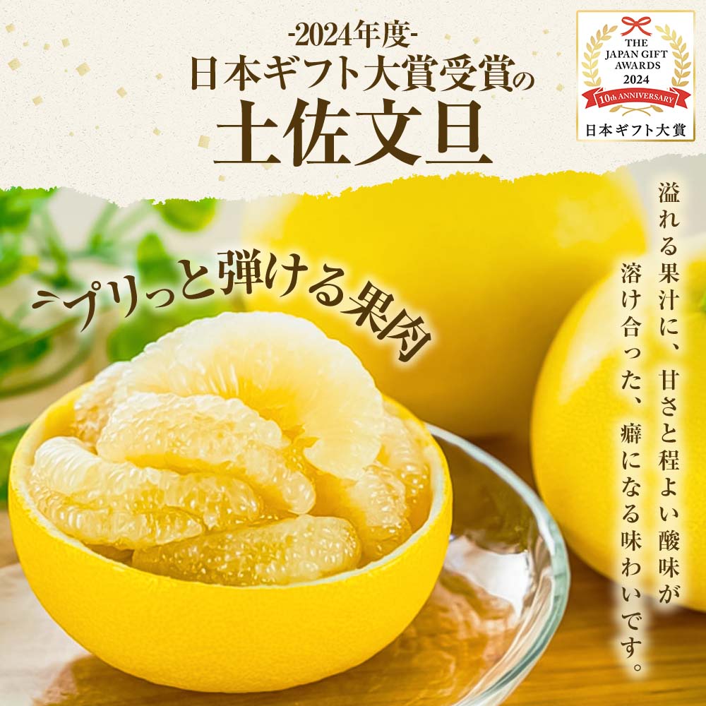 【日本ギフト大賞2024受賞】【先行予約】文旦 小玉3kg（L～M）2026年1月下旬より順次発送 土佐文旦 みかん 柑橘 ぶんたん ブンタン 果物 フルーツ お取り寄せ おいしい 家庭用 贈答用 土佐市 高知 ふるさと納税 春 旬 返礼品 高知県 高知 6000円