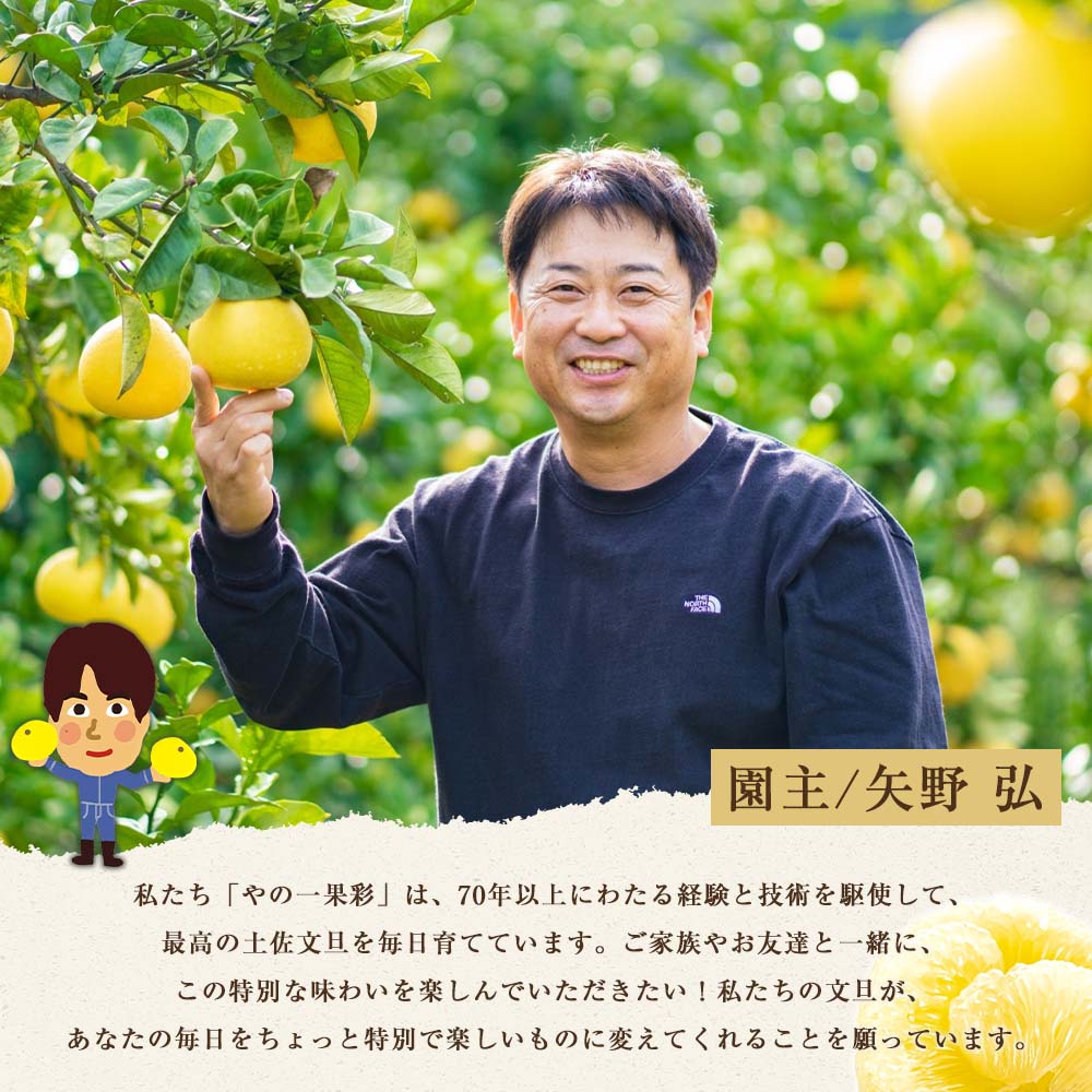 【日本ギフト大賞2024受賞】【先行予約】文旦 小玉3kg（L～M）2026年1月下旬より順次発送 土佐文旦 みかん 柑橘 ぶんたん ブンタン 果物 フルーツ お取り寄せ おいしい 家庭用 贈答用 土佐市 高知 ふるさと納税 春 旬 返礼品 高知県 高知 6000円