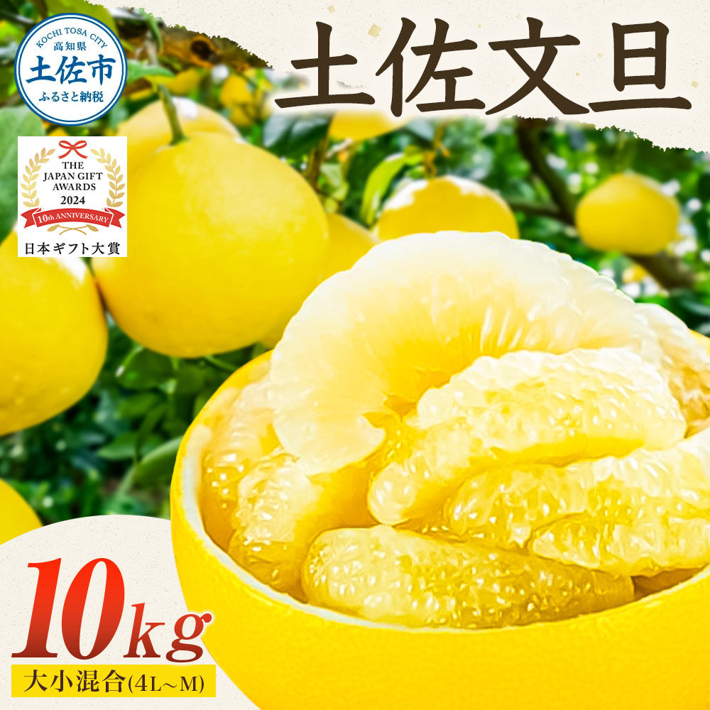 【日本ギフト大賞2024受賞】園主こだわりの土佐文旦 10キロ 大小混合（４L - Mサイズ） 2026年1月下旬より順次発送 ぶんたん ブンタン 柑橘 みかん フルーツ 果物 家庭用 お取り寄せ 土佐 高知 やの一果彩