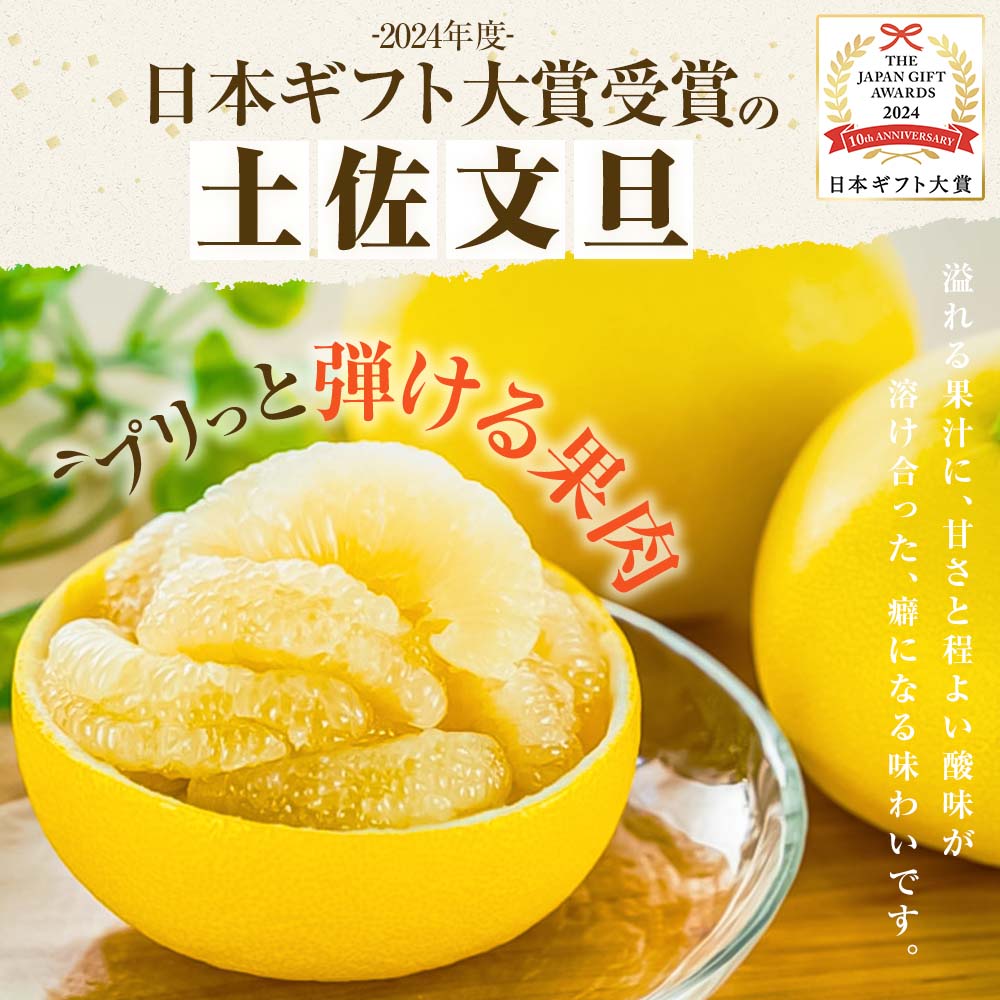 【日本ギフト大賞2024受賞】園主こだわりの土佐文旦 10キロ 大小混合（４L - Mサイズ） 2026年1月下旬より順次発送 ぶんたん ブンタン 柑橘 みかん フルーツ 果物 家庭用 お取り寄せ 土佐 高知 やの一果彩