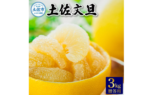 ymyszyU p3kg s\ 2025N12{菇 Ԃ񂽂 u^ k t[c ʕ  Mtg y m ̈ʍ