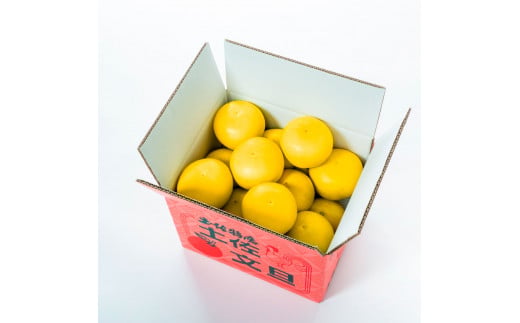 【日本ギフト大賞2024受賞】先行予約 園主こだわりの土佐文旦 7キロ（12 - 17玉） 2026年1月下旬より順次発送 ぶんたん ブンタン 柑橘 フルーツ 果物 家庭用 お取り寄せ 土佐 高知 やの一果彩