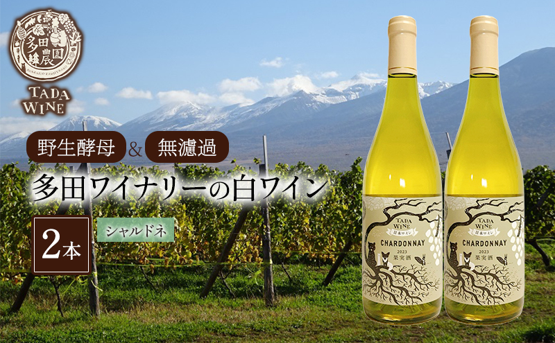 缶ビール(SORACHI1984)＆缶つま詰合せB 北海道 上富良野町 ソラチ1984