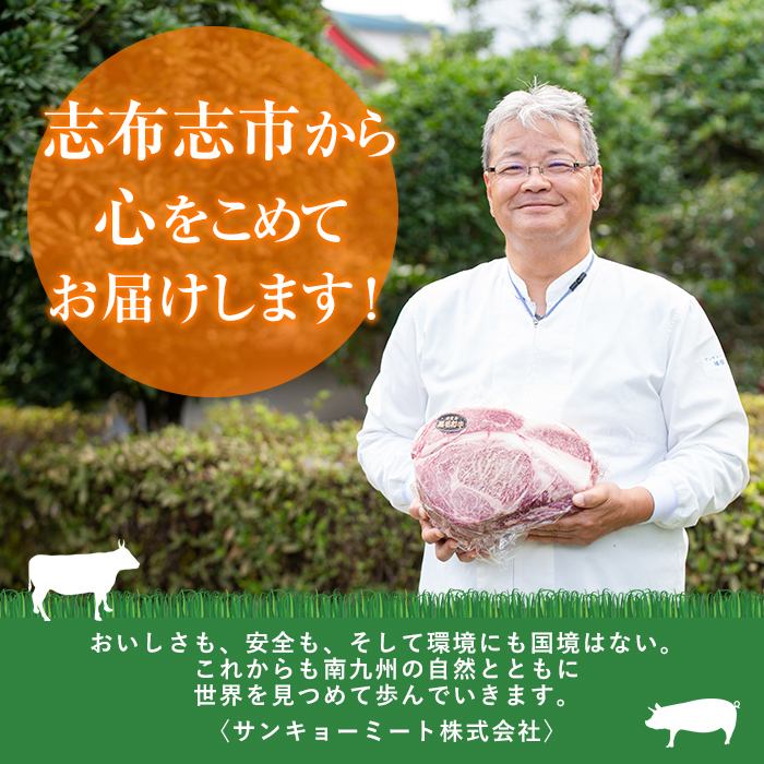 鹿児島県志布志市のふるさと納税 【数量限定】鹿児島県産黒毛和牛サーロインステーキ 200g×4枚 黒毛和牛 和牛 牛肉 A4等級 サーロインステーキ サーロイン ステーキ 霜降り 数量限定 九州産 国産 b7-011