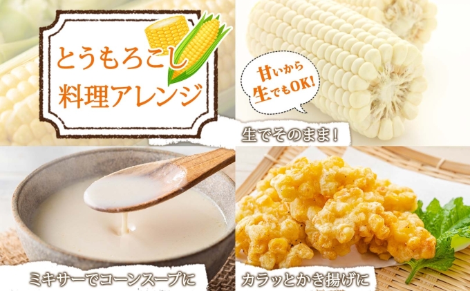 【 2026年 発送 】 北海道産 とうもろこし 計24本 L-2L サイズ混合 ロイシーコーン 大きめ 旬 朝採り 新鮮 トウモロコシ 甘い 夏野菜 とうきび お取り寄せ 産地直送 野菜 しりべしや 送料無料 倶知安町 