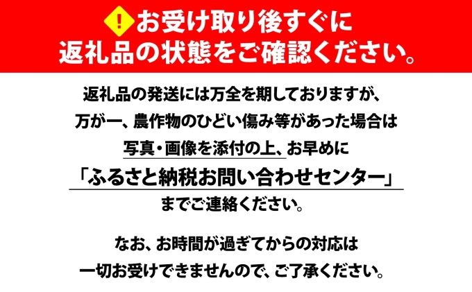 【 2026年 発送 】 北海道産 とうもろこし 計24本 L-2L サイズ混合 ロイシーコーン 大きめ 旬 朝採り 新鮮 トウモロコシ 甘い 夏野菜 とうきび お取り寄せ 産地直送 野菜 しりべしや 送料無料 倶知安町 