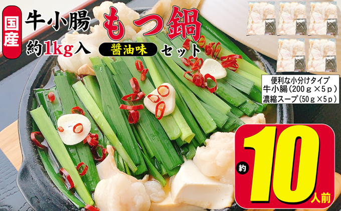yqsz Zbg ݖ 10lO Y   1000gi 200g×5pjZk X[v 50g×5p c     zs  Yc 畨 痿 ~ [ ӌ YN p[eB[