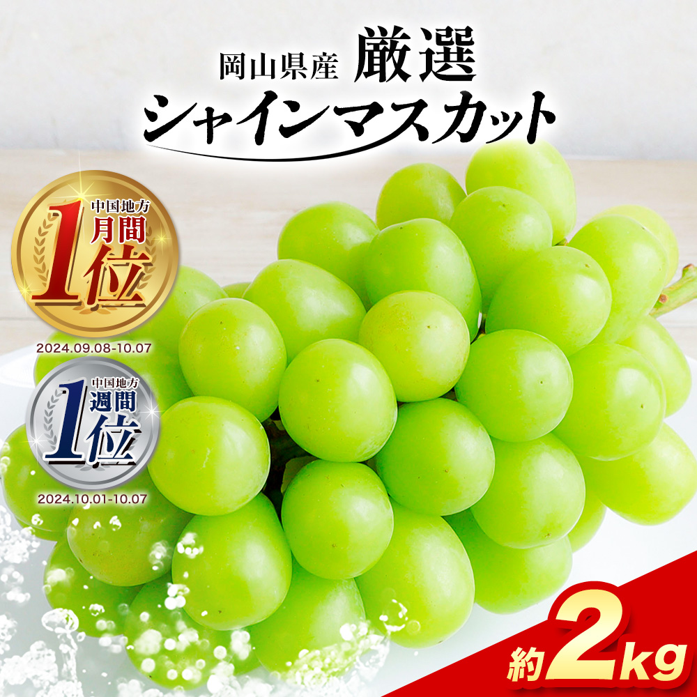 【2026年先行予約】厳選 訳あり シャイ