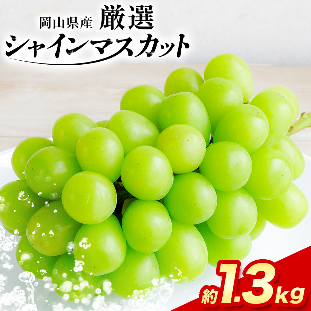 【2026年先行予約】厳選 訳あり シャイ