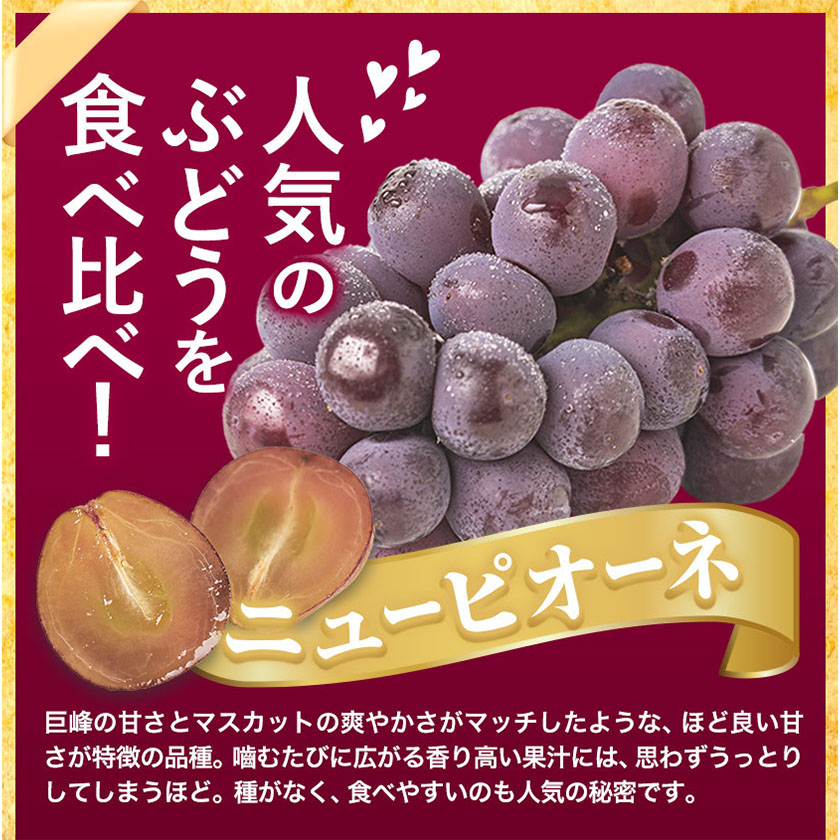 岡山県浅口市のふるさと納税 訳あり シャインマスカット・ニューピオーネ 詰め合わせ 約1.2kg 2房《9月中旬-11月上旬頃出荷》岡山県 浅口市 果物 くだもの ぶどう 葡萄 マスカット フルーツ デザート シャインマスカット シャイン マスカット ピオーネ ニューピオーネ ブドウ