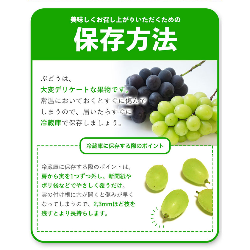 岡山県浅口市のふるさと納税 訳あり シャインマスカット・ニューピオーネ 詰め合わせ 約1.2kg 2房《9月中旬-11月上旬頃出荷》岡山県 浅口市 果物 くだもの ぶどう 葡萄 マスカット フルーツ デザート シャインマスカット シャイン マスカット ピオーネ ニューピオーネ ブドウ