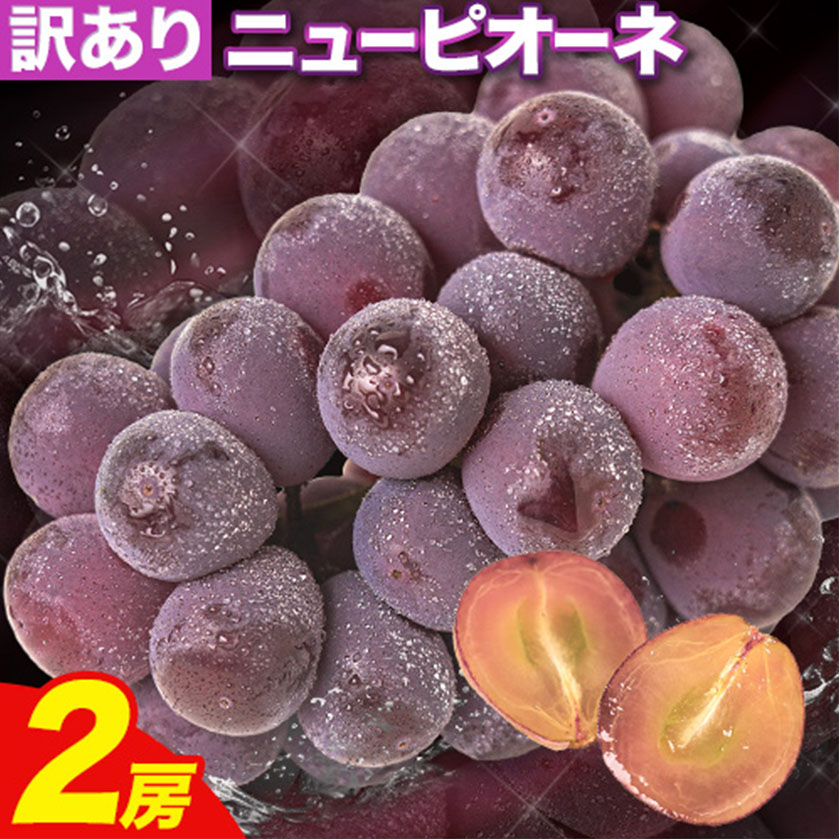 [先行予約]訳あり ニューピオーネ 約1.2kg 2房 葡萄 果物 秋旬 訳あり 優品 厳選出荷 スイーツ フルーツ デザート 岡山県 浅口市[2025年9月中旬-11月上旬頃出荷]
